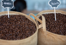 У чому різниця арабіки й робусти &mdash; простими словами для своїх