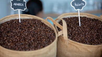 У чому різниця арабіки й робусти — простими словами для своїх