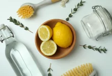 Лимони та засоби для прибирання