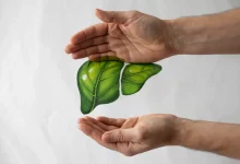 лист в форме печени